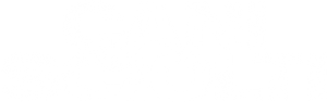 Cani sciolti