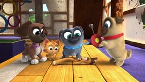 Puppy Dog Pals Return of the Go-Long Retriever