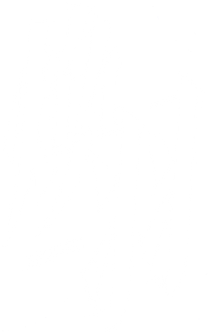 Reborn — Logos 3