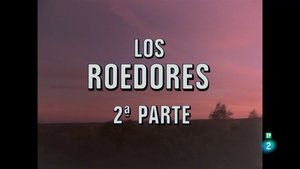 Episode 78