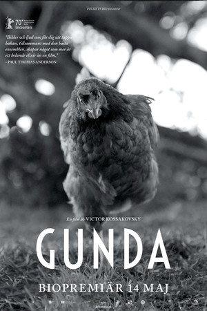 Gunda 22