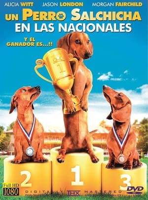Poster Wiener Dog Nationals 2013