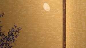 The Moon