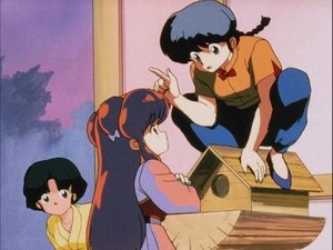 Ranma ½: 1×15