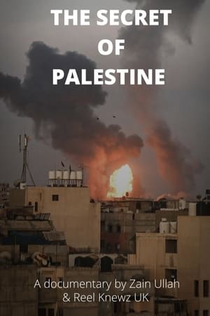 Poster The Secret Of Palestine 2022