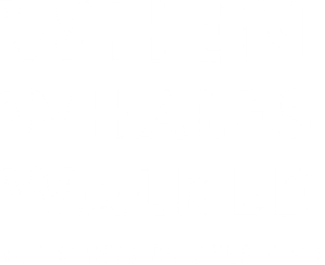 When Whales Walked: Journeys in Deep Time