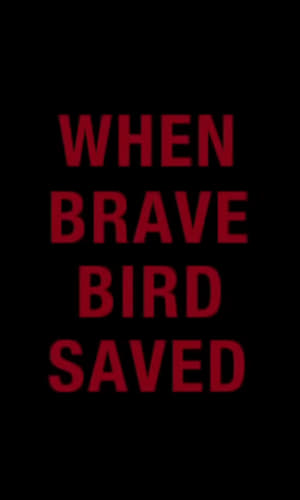 When Brave Bird Saved poster