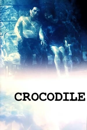 Crocodile poster