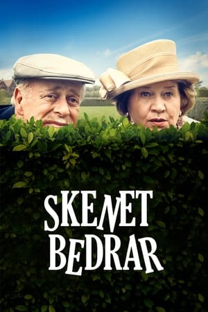 Image Skenet bedrar