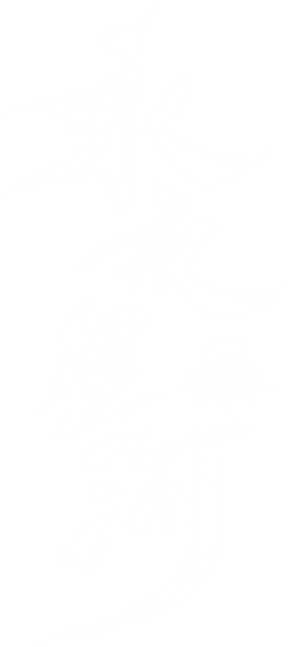 Ảnh 119
