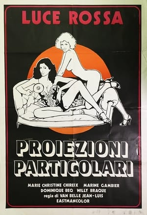 Poster Projections spéciales (1976)