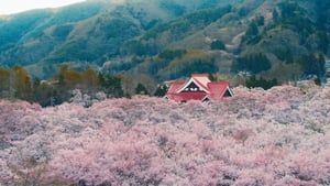 A World of Calm Living Among Trees