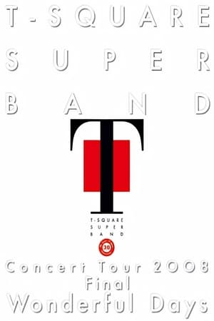 Poster T-Square Super Band - Concert tour 2008 Final Wonderful Days 2008
