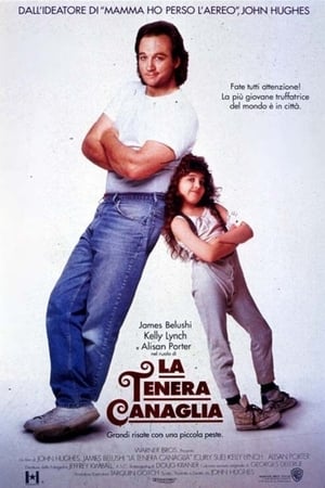 Poster La tenera canaglia 1991