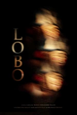 Poster Lobo (2020)