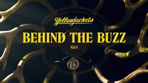 Behind the Buzz: 206 Qui