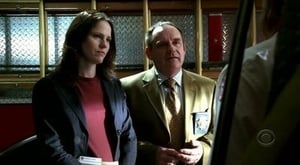 CSI: Crime Scene Investigation: 6×17