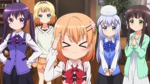 Is the Order a Rabbit?: 2×4