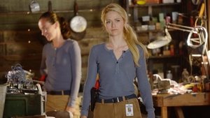 Quantico 1×2