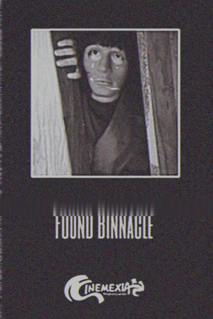 Found Binnacle