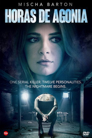The Basement 17