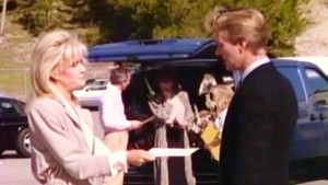 Knots Landing: 9×20