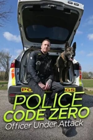 Poster Police Code Zero: Officer Under Attack 2019