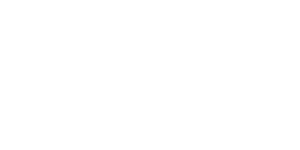 Zokki — Logos 1