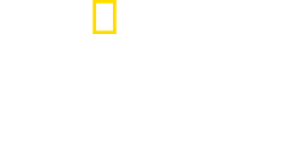 Amsterdam Central 24/7 — Logos 5