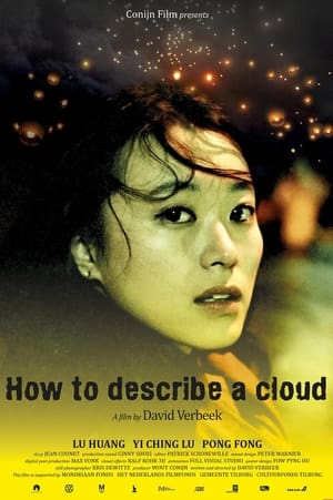 Poster How to Describe a Cloud (2013)