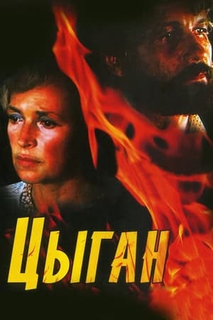 Poster Цыган 1980