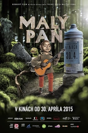 Poster The Little Man 2015