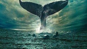 In the Heart of the Sea (2015) หัวใจเพชฌฆาตวาฬมหาสมุทร พากย์ไทย