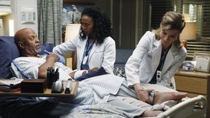 Grey’s Anatomy 10 x Episodio 10