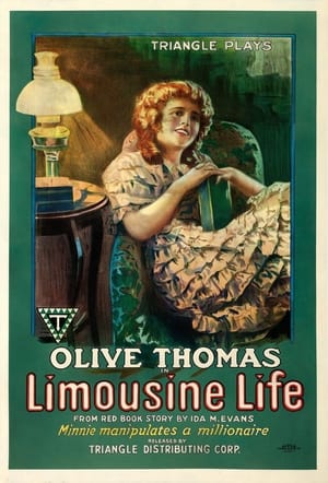 Poster Limousine Life (1918)