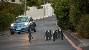 Commuters