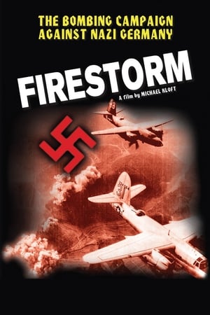 Poster Firestorm 2003