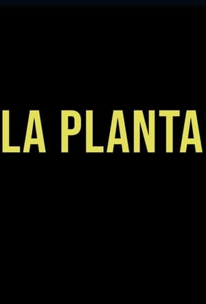 Poster La Planta (2020)