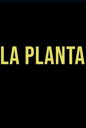 Image La Planta