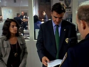 Criminal Intent – Verbrechen im Visier: 5×4