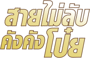 Forbidden City Cop สายไม่ลับคังคังโป๊ย