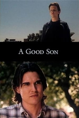 A Good Son poster