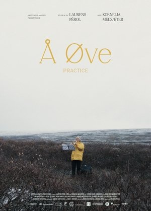 Å øve (2024)