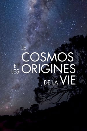 Image Le Cosmos et les Origines de la vie
