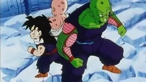 Dragon Ball Z: 4×6