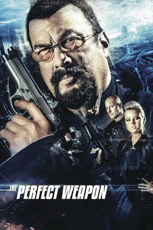 The Perfect Weapon 16