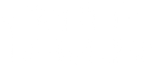Meu Pé de Laranja Lima