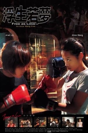 Poster Fei yue qin hai zhi fu sheng ruo meng 2004