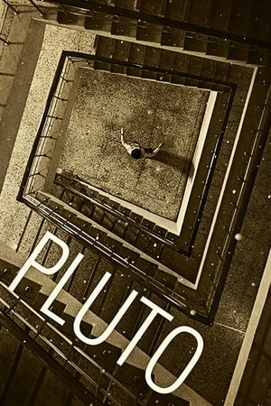 Poster Pluto 2013