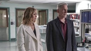 NCIS: 16×24